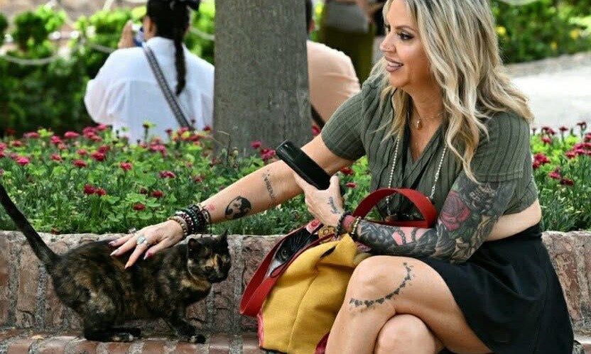 Kassi Clifford and A Street Cat